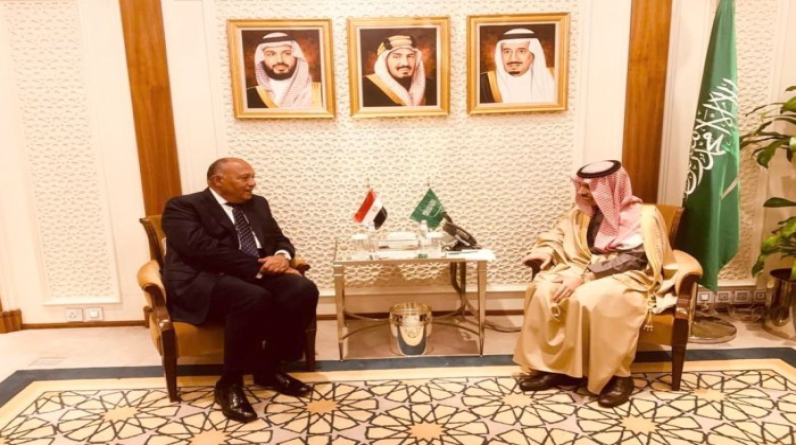وزير خارجية مصر يلتقي نظيره السعودي قبيل انعقاد لجنة التشاور السياسي المشتركة
