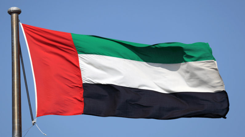الإمارات.. مصادرة 3 مليارات درهم في 270 قضية غسل أموال