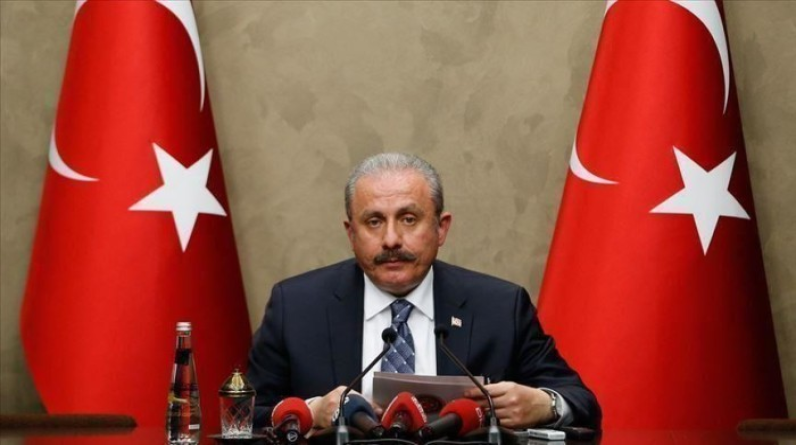 تركيا تدعو منظمة التعاون الإسلامي لتحرك منسق ضد الاعتداءات الإسرائيلية