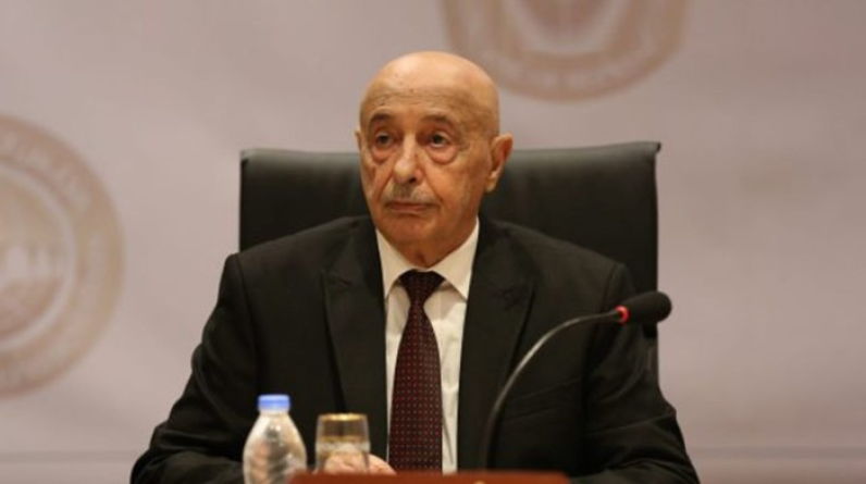 عقيلة صالح يطالب الأمم المتحدة بالضغط من أجل حكومة موحدة قبل الانتخابات الليبية