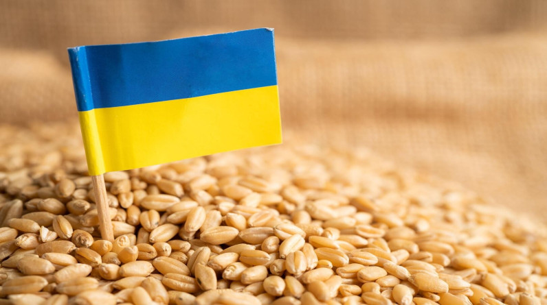 (مجلس الناتو - أوكرانيا) يجتمع الأربعاء لبحث نقل الحبوب