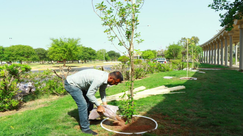 حملة في بغداد لاستحداث اكثر من ١٠٠ حديقة جديدة وزراعة ٥ ملايين شتلة و ٣٠٠ ألف شجرة وشجيرة