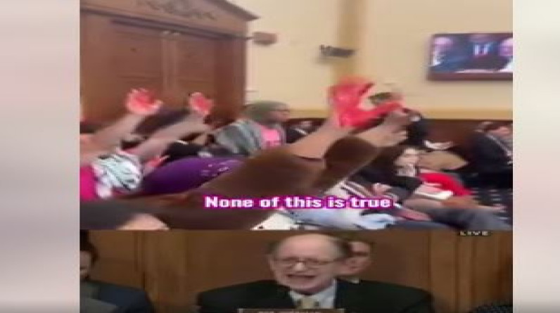 نشطاء يعطلون جلسة في مجلس النواب الأمريكي بسبب العدوان على غزة (فيديو)