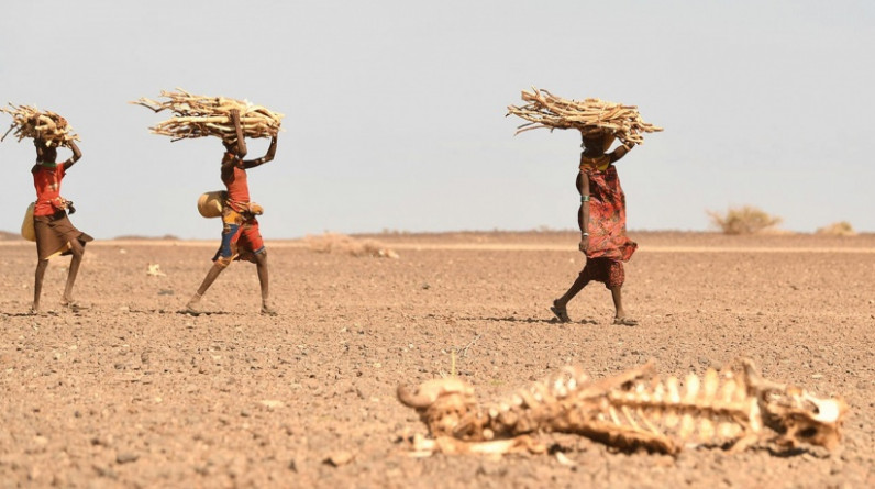 نزوح مليون شخص في الصومال جراء الجفاف