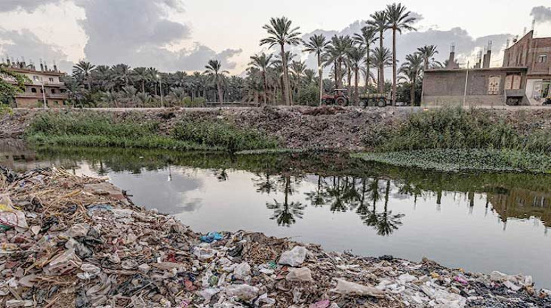 عمرو حمزاوي يكتب: بين آثار التغير المناخي والبحث عن سياسات بديلة… حال الزراعة في مصر