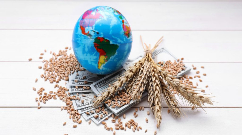 المحاصيل المهددة: لماذا يمكن أن تتصاعد أزمة الغذاء العالمية؟